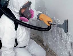 Best Emergency Mold Remediation in Crystal City, TX